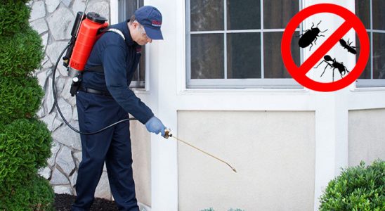 Süleymanpaşa Böcek İlaçlama böcek ilaçlama ve haşere kontrolü — ilaclama-tr.com